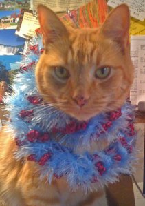 IMG_0108 The Feline Hair Machine