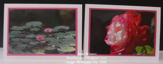 Waterlilies and Rose