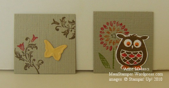 1" x 1" Simply Adorned Insert