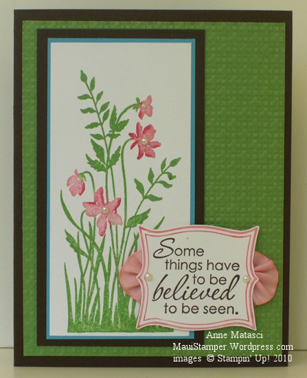 ColourQ45 Believing is Seeing