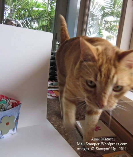 Hmmm...what have we here?