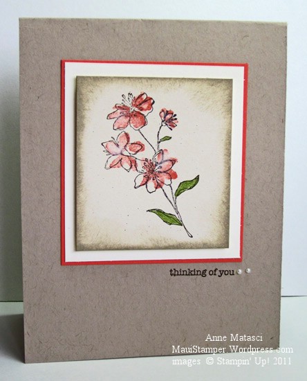 Crumb Cake and Calypso Coral