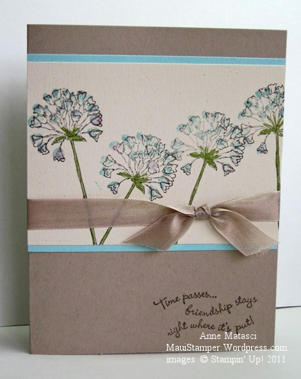 Crumb Cake and Pool Party