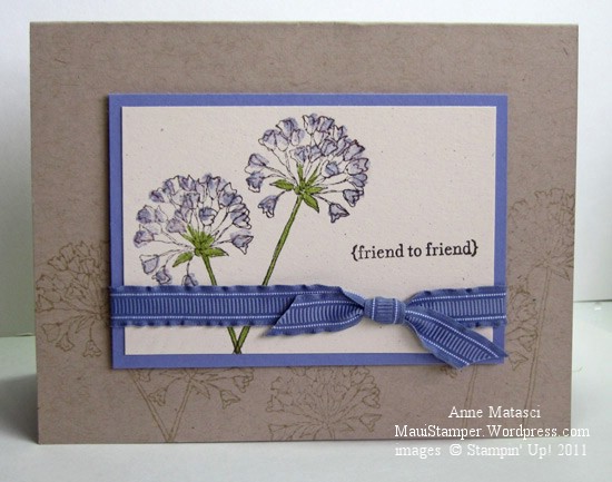 Crumb Cake and Wisteria Wonder