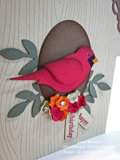 Birdhouse-bird_web Bird house bird