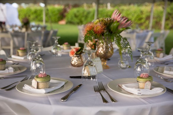 ScottDrexler Photography