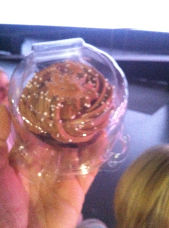 Maui Stamper Convention 2013 You Crew