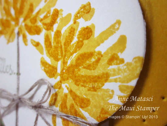 Maui Stamper Convention 2013 Top Notch Swap Too Kind