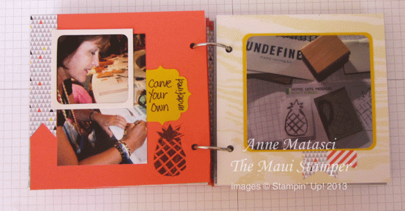 Maui Stamper My Paper Pumpkin May 2013 Handmade Scrapbook