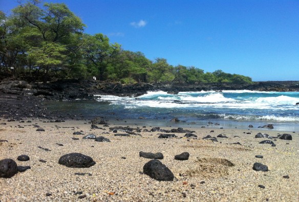 Maui Stamper La Perouse Bay