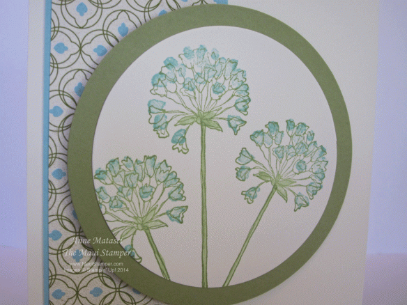 Maui Stamper Simply Soft Hostess 13-14