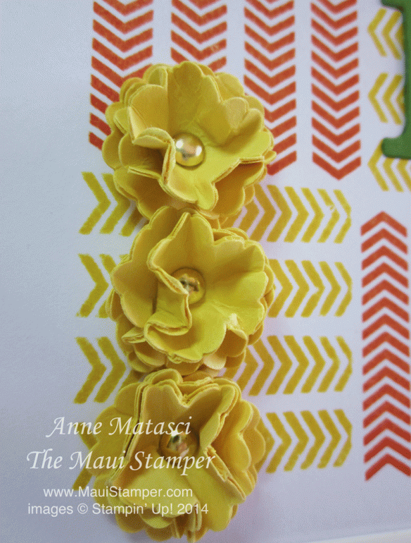 Maui Stamper My Paper Pumpkin May 2014