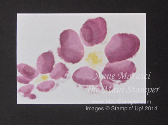 Maui Stamper Blendabilities from the back