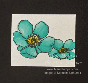 Maui Stamper Coastal Cabana Blendabilities