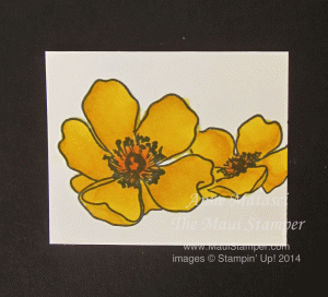 Maui Stamper Daffodil Delight Blendabilities