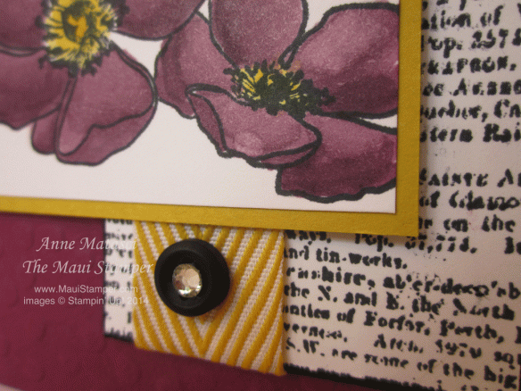 Maui Stamper Razzleberry Blendabilities