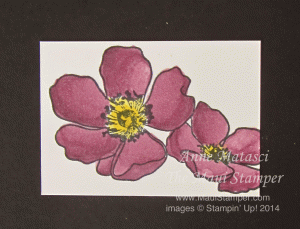 Maui Stamper Rich Razzleberry Blendabilities