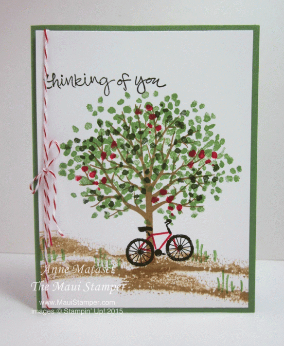 Maui Stamper Sheltering Tree