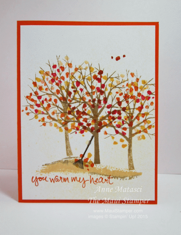 Maui Stamper Sheltering Tree