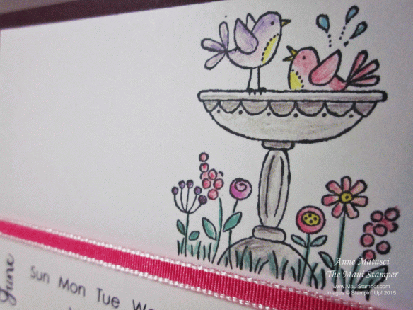 Sweet Birds for the First of June