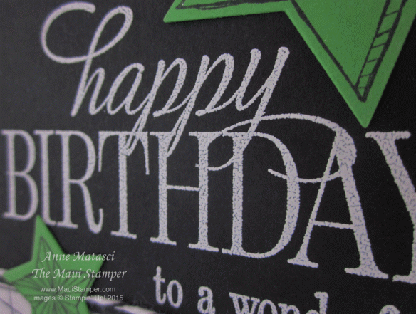 Maui Stamper Manly Happy Birthday Everyone Masculine Card