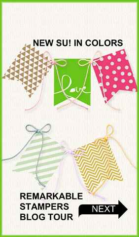 IN COLOR BUNDLE BLOG TOUR