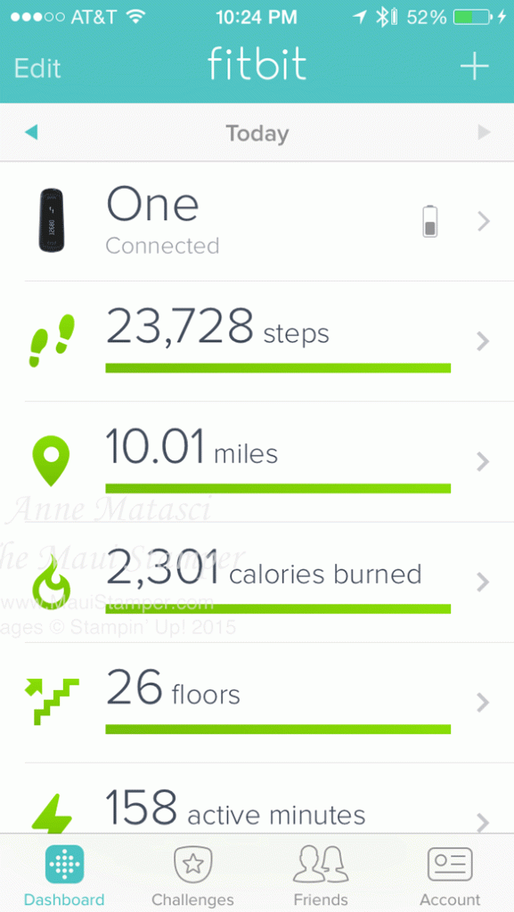 Maui Stamper Convention Anticipation Fitbit