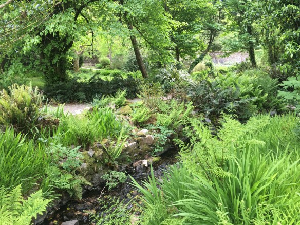 Maui Stamper Greens of Ireland