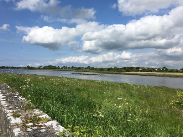 Maui Stamper Greens of Ireland