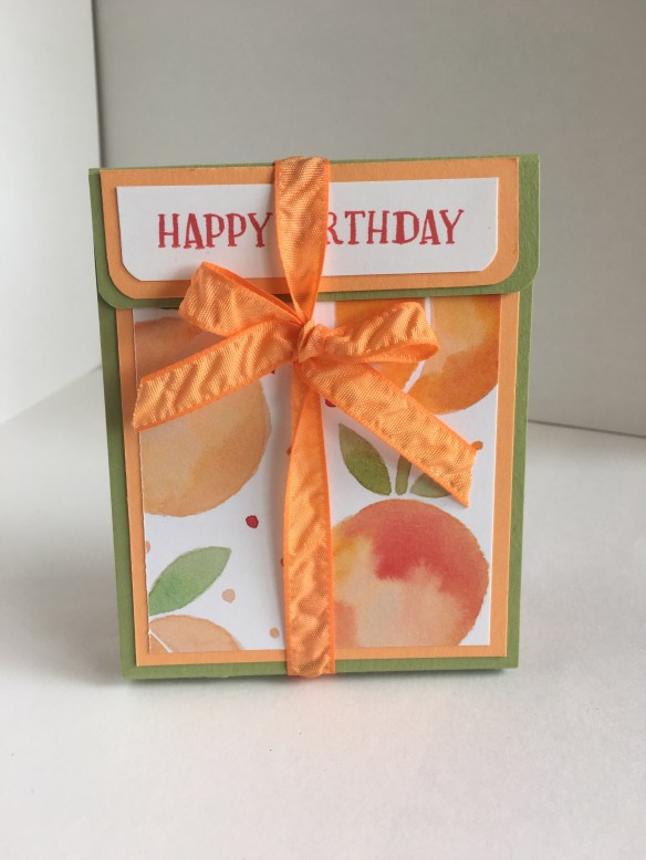 Maui Stamper CASE Pootles Tea Bag Folder Holder Fresh Fruit