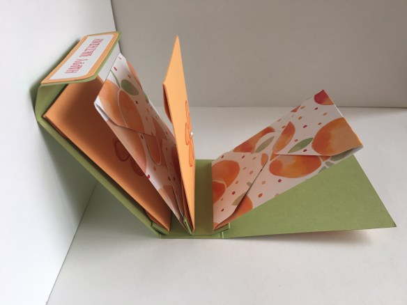 Maui Stamper CASE Pootles Tea Bag Folder Holder Fresh Fruit