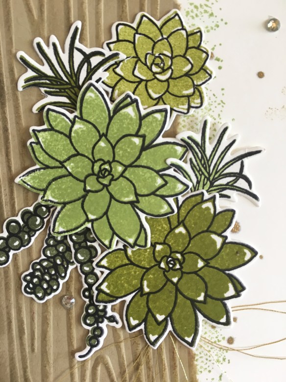 Maui Stamper RemARKable Blog Tour Oh So Succulent