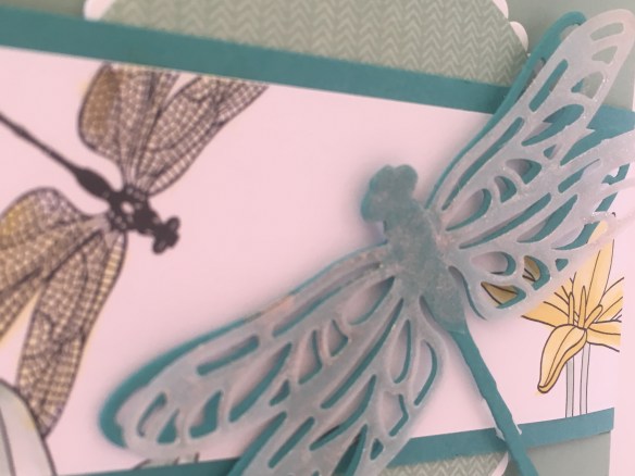 Maui Stamper Welcome to the team Dragonfly Dreams