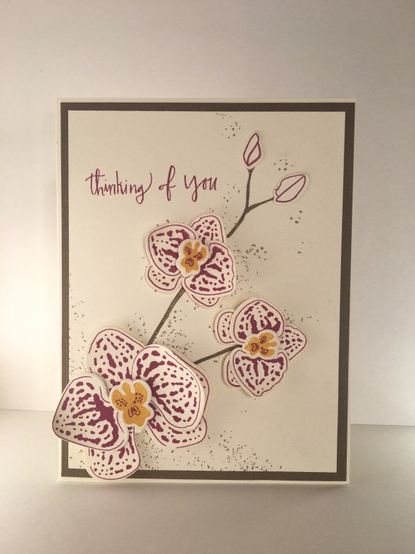 Maui Stamper Climbing Orchid Stampin' Up!