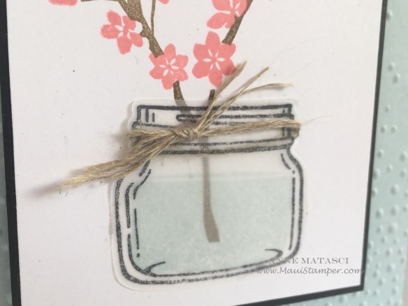 Maui Stamper Stampin' Up! Jars meet Colorful Season