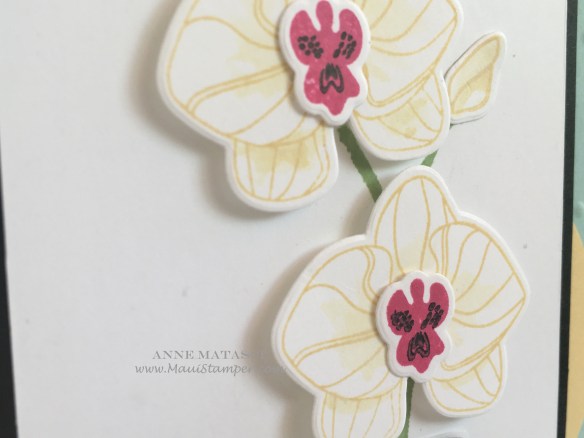 Maui Stamper Orchids in the Jar Stampin' Up!