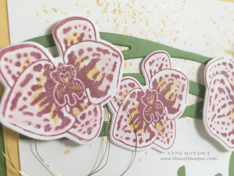 Maui Stamper Climbing Orchid Stampin' Up!