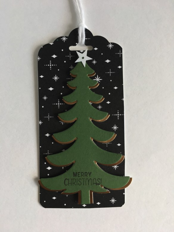 Maui Stamper Stampin' Up! Santa's Sleigh