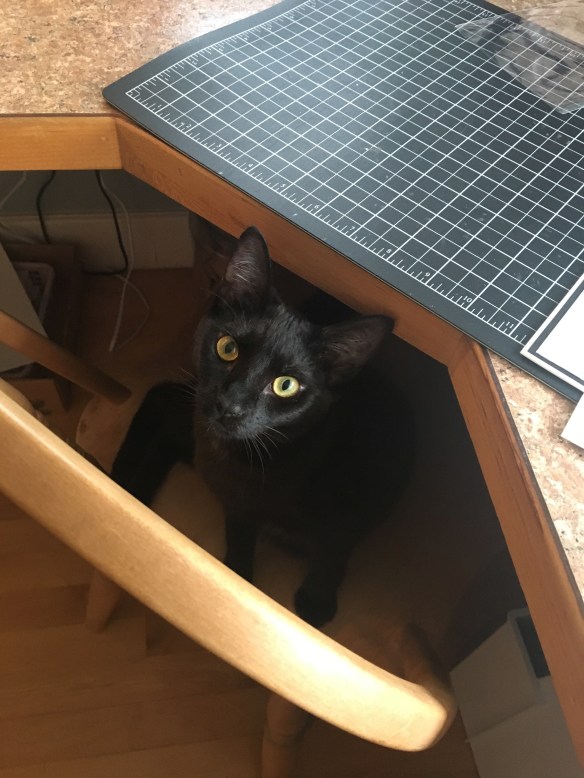 Maui Stamper Meet Bella