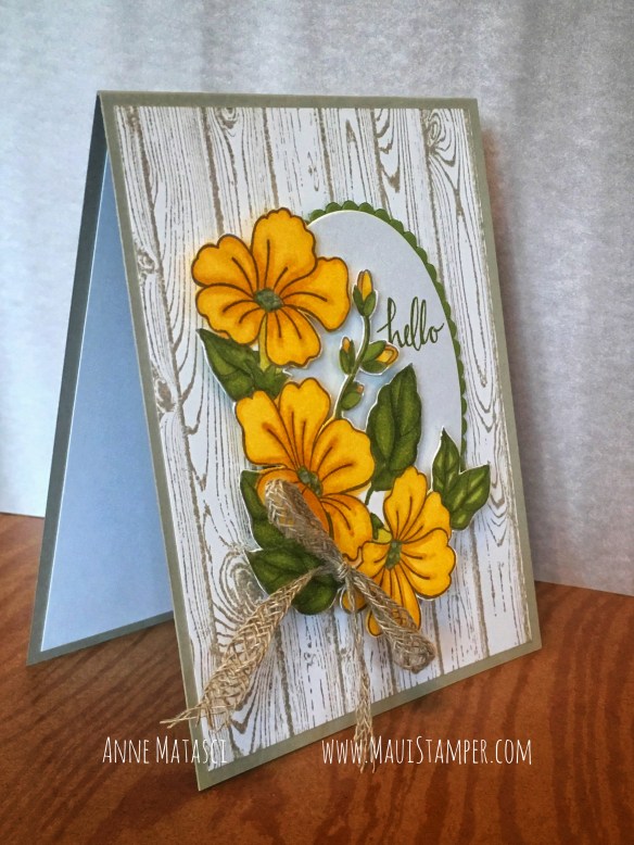 Maui Stamper Stampin' Up! Color Your Season August 2018 ONLY