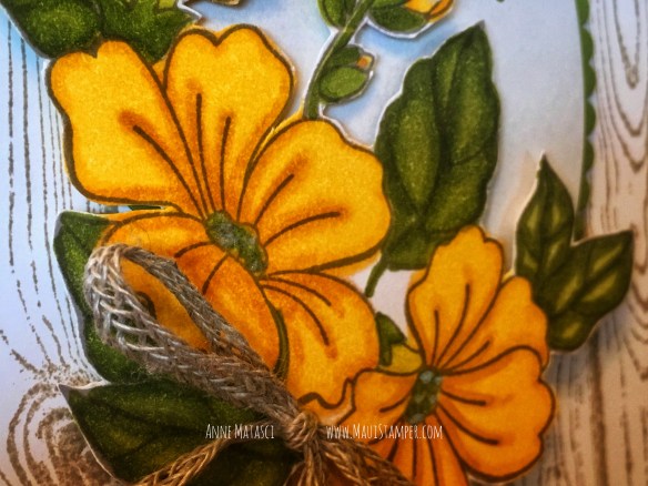 Maui Stamper Stampin' Up! Color Your Season August 2018 ONLY