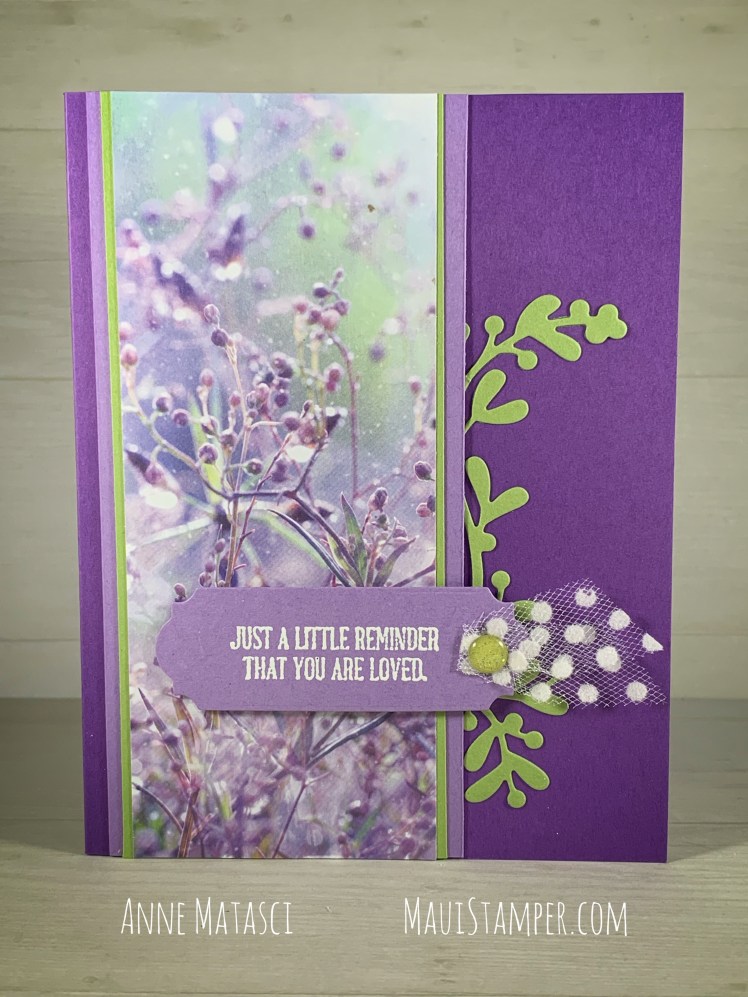 Maui Stamper Stampin Up Feels Like Frost You Are Loved