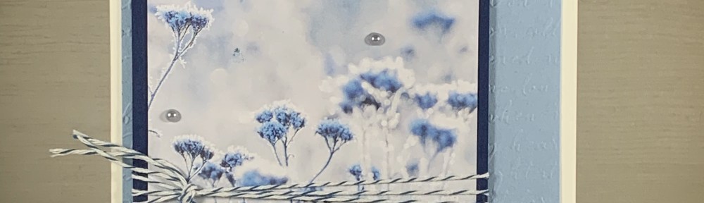 Maui Stamper Stampin Up Feels Like Frost Thinking of You