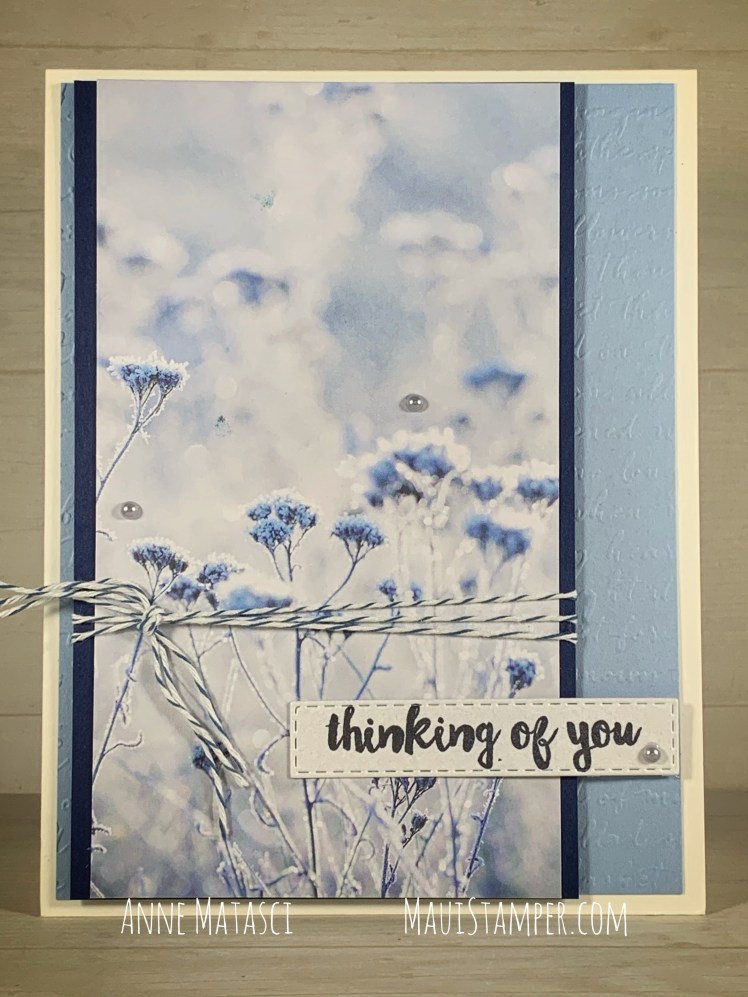 Maui Stamper Stampin Up Feels Like Frost Thinking of You