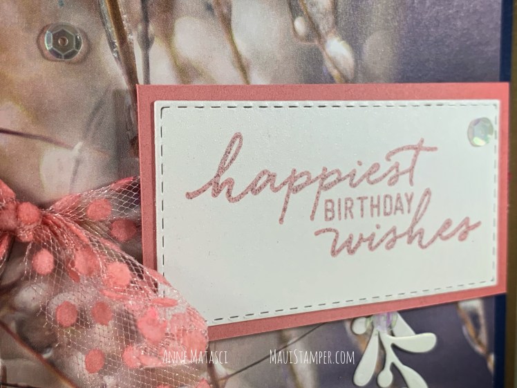 Maui Stamper Stampin Up Feels Like Frost Happiest Birthday Wishes