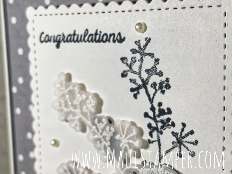 Maui Stamper Stampin Up First Frost in Gray