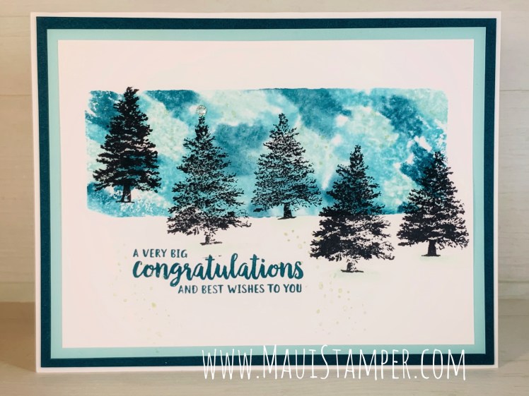 Maui Stamper Stampin Up Rooted in Nature Acrylic Block Technique 