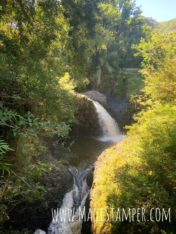 Maui Stamper Pīpīwai Trail Kīpahulu District Haleakalā National Park