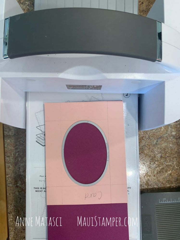 Maui Stamper Stampin Up Darling Donkey Oh So Ombre DSP