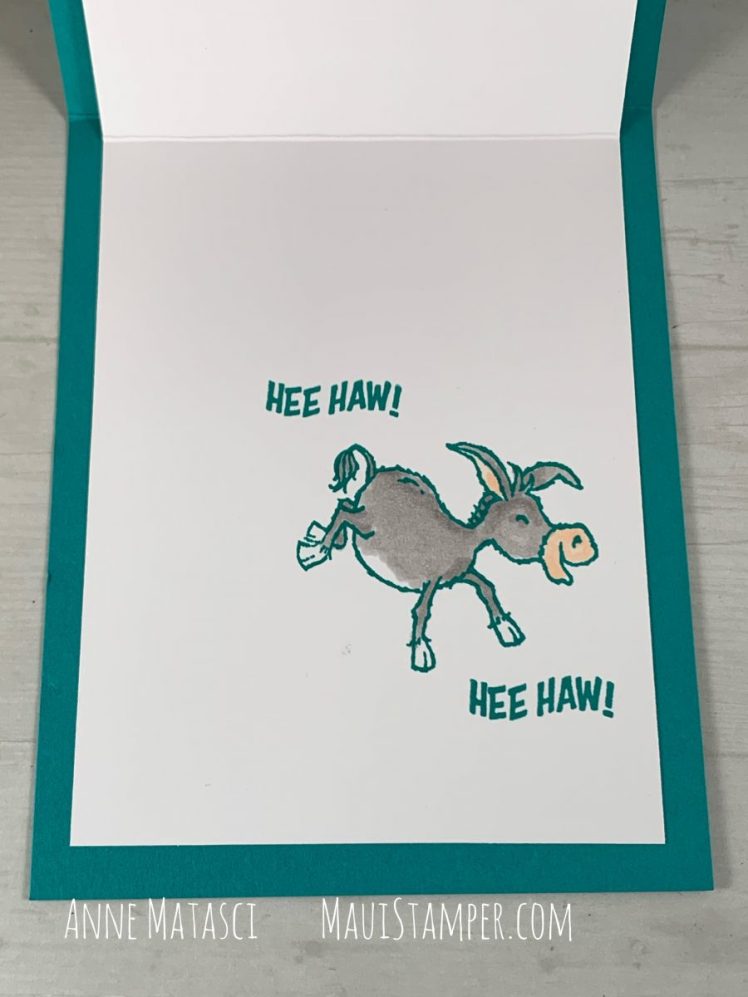 Maui Stamper Stampin Up Darling Donkey Oh So Ombre DSP